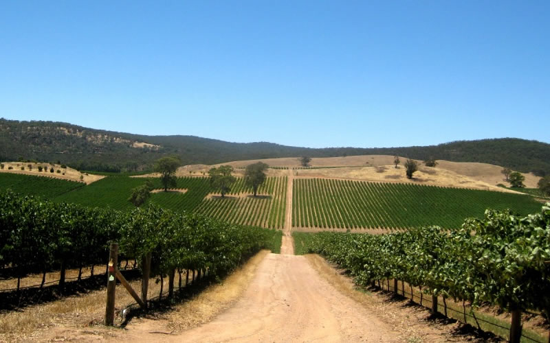 Barossa Valley SA Accommodation