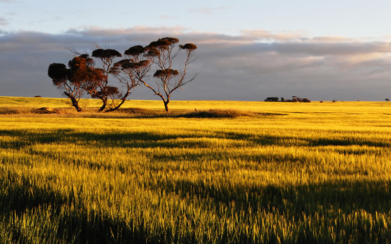 Yorke Peninsula SA Accommodation